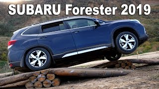 Первый тест-драйв Subaru Forester 2019 - offroad у моря