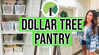 DOLLAR TREE ORGANIZATION OF MY PANTRY | PANTRY ORGANIZING HACKS