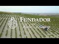 Fundador brandy