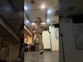 UNDEAD / YOASOBI 靴の割には頑張ってます #shorts