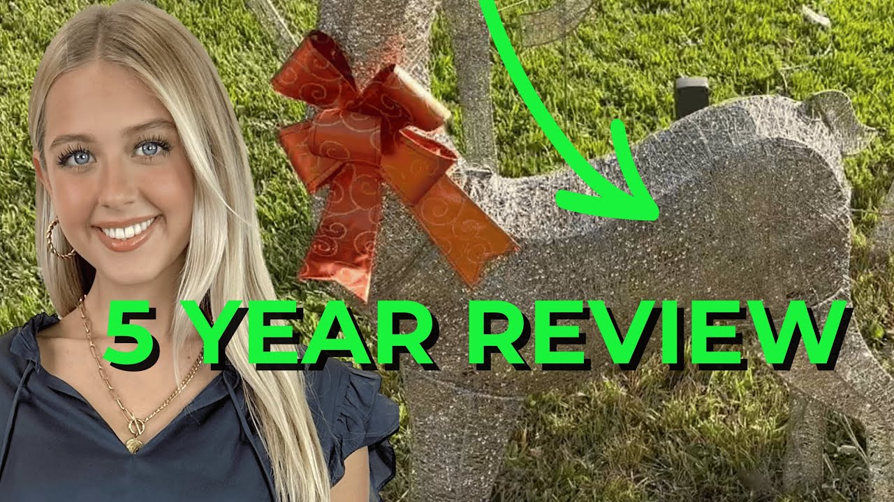 Best Choice Products Lighted LED Deer Family Christmas Decoration Review