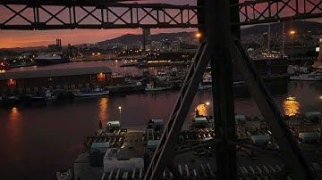 Tawara Shen Kool - BACKYARD (Official Video)