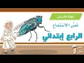 نص الاستماع ناقل الأمراض