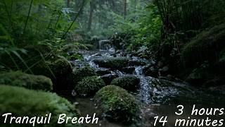 Tranquil Breath - 3 hours 14 minutes of meditation and inner healing