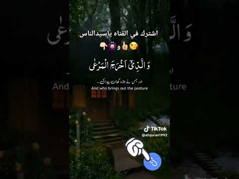 المسكينه طار عقله احترم اخردقايق الفيديو اكسبلور المصحف دويتو لايك الرحمن ترند 
