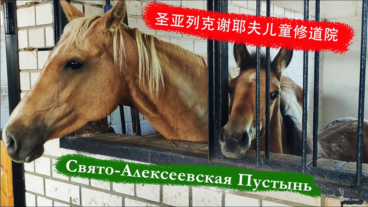 圣亚列克谢耶夫儿童修道院 / Алексеевская пустынь - YouTube