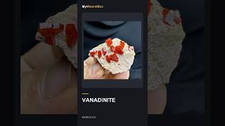 Video preview: Scarlet Vanadinite — Morocco | Natural Mineral Specimen