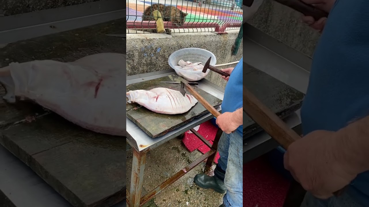 Ferhat reis aka “ the tomahawk”