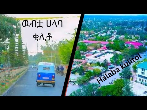 The Capital City Of Halaba Is Kulito