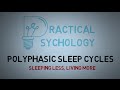 Understanding Polyphasic Sleep Cycles