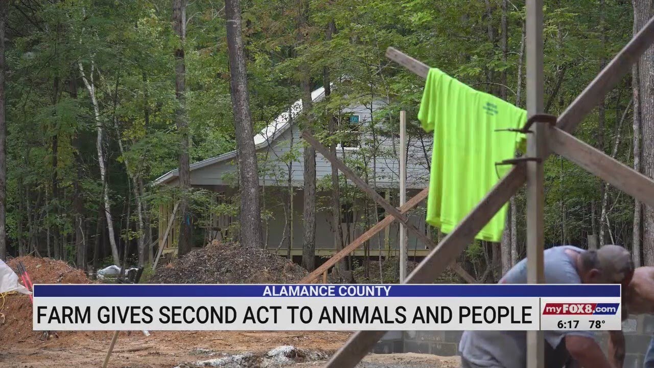 Alamance County farm gives second act to animals, people
