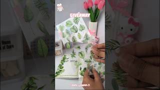 ഒരു ചെറിയ Giveaway ആയാലോ💚#shorts