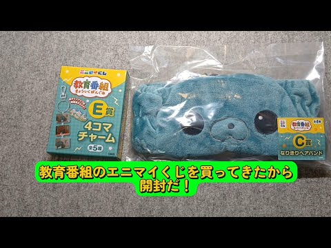 教育番組のエニマイくじを買ってきたから開封だ！#教育番組 #エニマイ