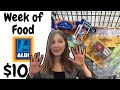 How to EAT for $10 a Week! Aldi $10 Grocery Haul + Meal Prep!