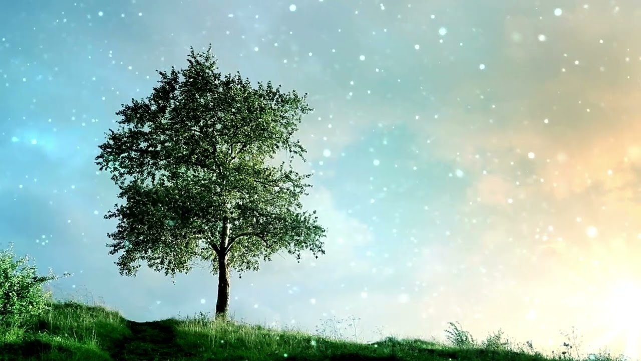 Uplifting Rock Vibes Bright and Energetic Tunes