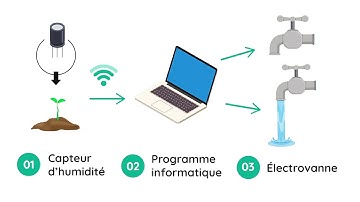 3 minutes pour comprendre... les objets connectés (IoT)