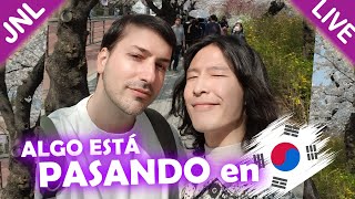 PLANEAMOS VACACIONES y NOVEDADES de COREA 🇰🇷