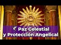 Encuentra paz y proteccin divina oracin poderosa al santsimo  5 minutos en el santsimo