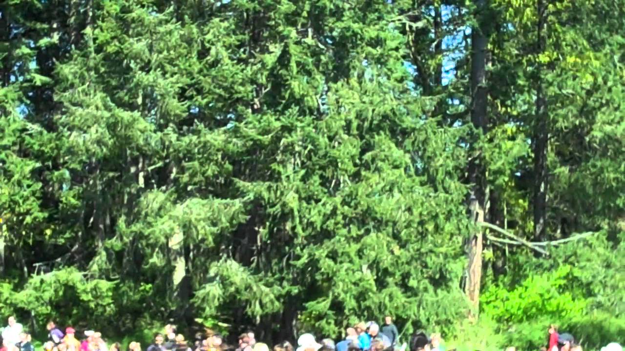 Ron Neal & The Neal Estate Team's 12th Annual Easter Egg Hunt for BC