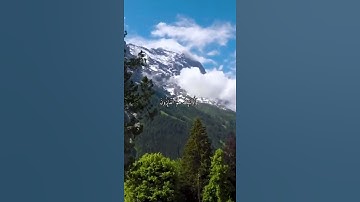 واتس اب قران كريم القارئ فارس عباد من سورة (التوبة)