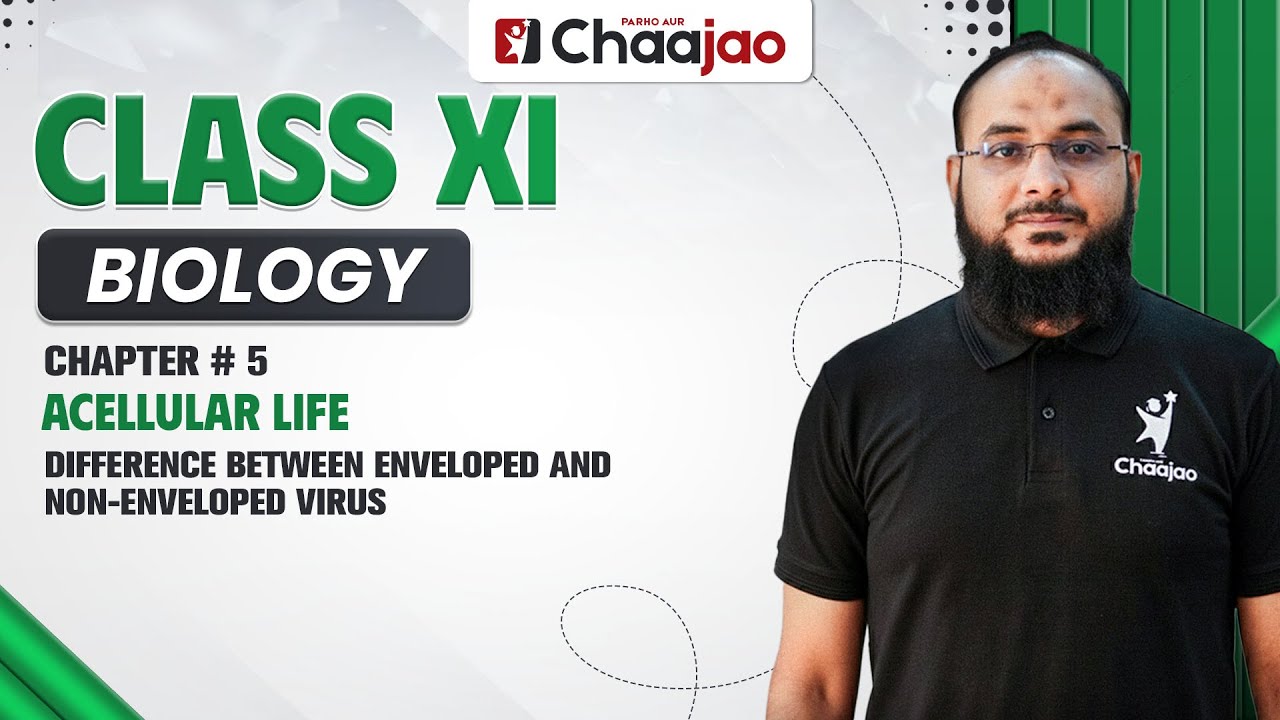 Разница между оболочечным и безоболочечным вирусом