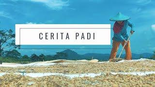 Download Lagu Cerita dari padi MP3