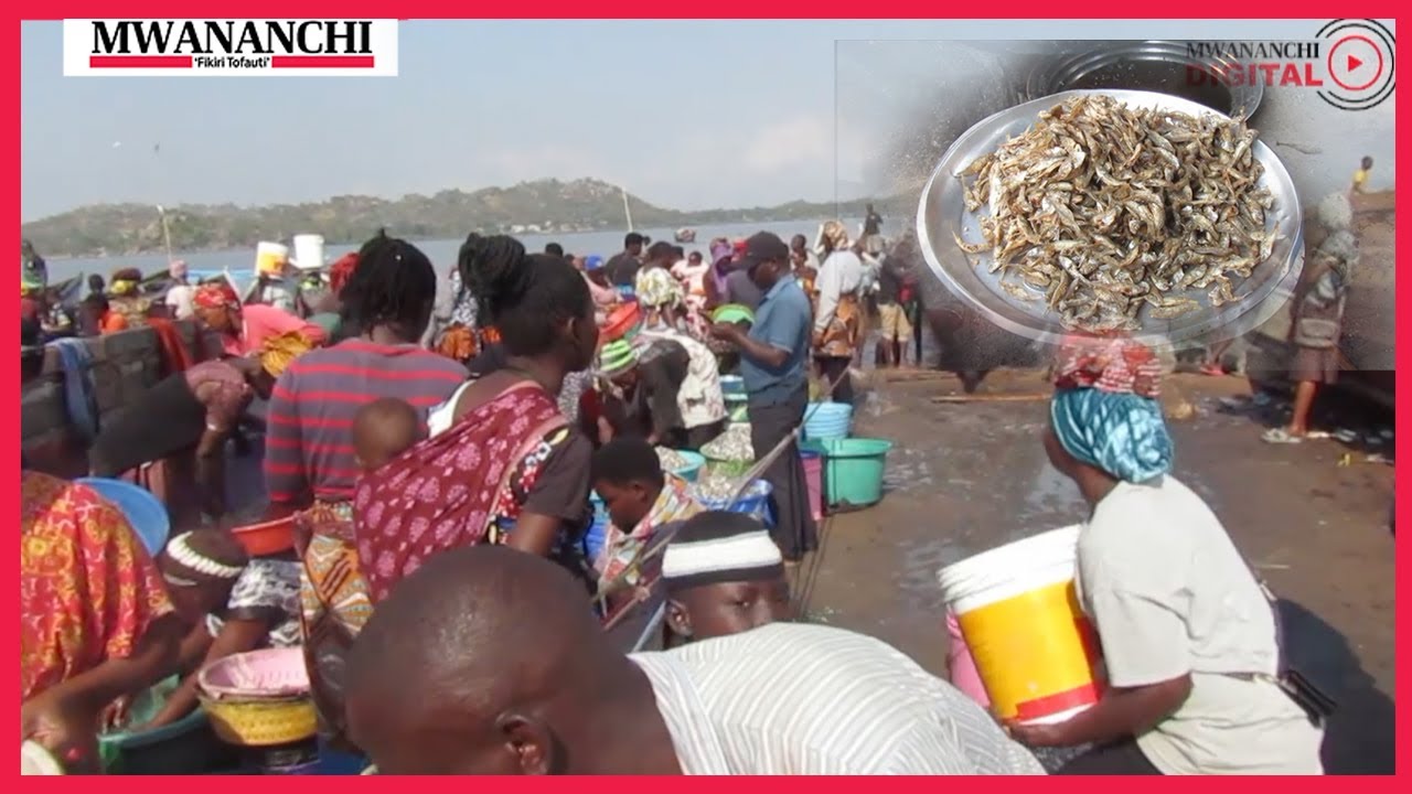 SERIKALI MBIONI KUFUNGA ZIWA VICTORIA, TANGANYIKA  WACHUHUZI WAFUNGUKA KUKIFUNGWA TUTA....