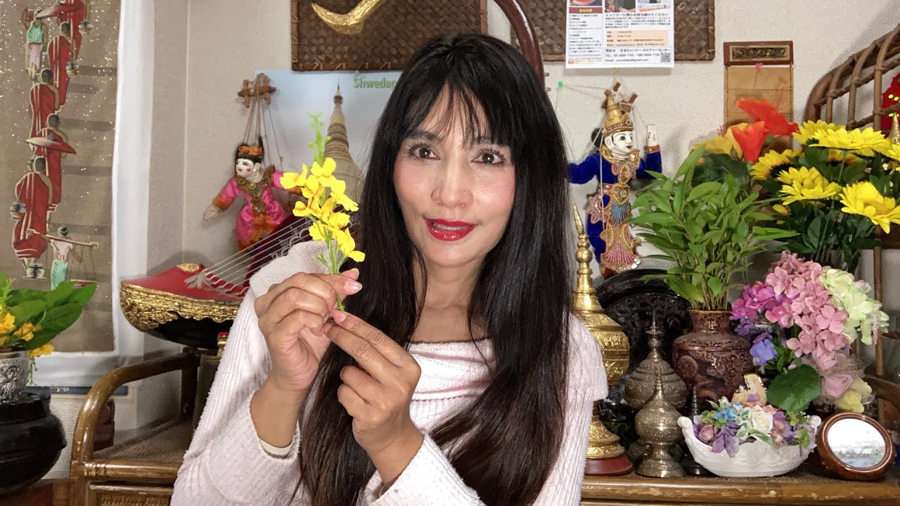 マヘーマーが教えるミャンマー語 日常会話編 休みます 休息する - YouTube