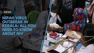 Nipah virus outbreak in Kerala: All you need to know about NiV