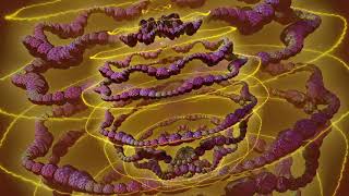 Julia Bulb--1984: Darkness, Evil, Death & Destruction--Fractals & Music