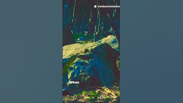 Trees #Forest #ai #art #viral #reels #trending #shchannel #usa #unitedstates