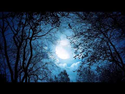 soothing-night-sounds-|-free-sound-effects-|-ambient-sounds