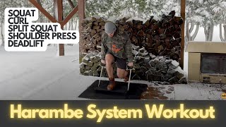 Big 5 Full-Body Workout: One Set to Failure with Harambe System (Under 30 Minutes!)