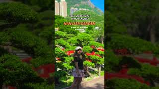 Nan lian garden is a free tourist spot in HK 🇭🇰