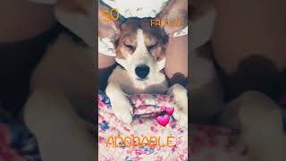 Who Is Using...my..blanket..oh I Dont Mind Sharing