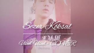 • USUL USUL- SEZER KÖKSAL COVER Resimi