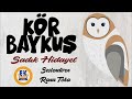 Kr bayku  sadk hidayet sesli kitap tek para rana toka