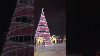 Sparkle Lights Festival