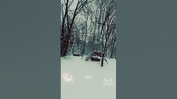 Thumbnail of #snowlover #snow #nature #india #hindisong #usa