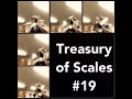 Treasury of Scales #19