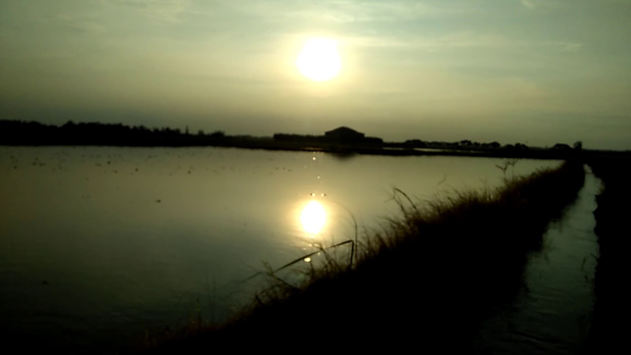 Pemandangan Saat Sunrise 