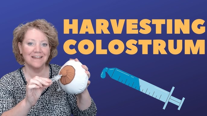 Colostrum Harvesting On Demand Webinar – My Expert Midwife