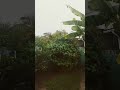 rainy day🌧 #rain #relaxing