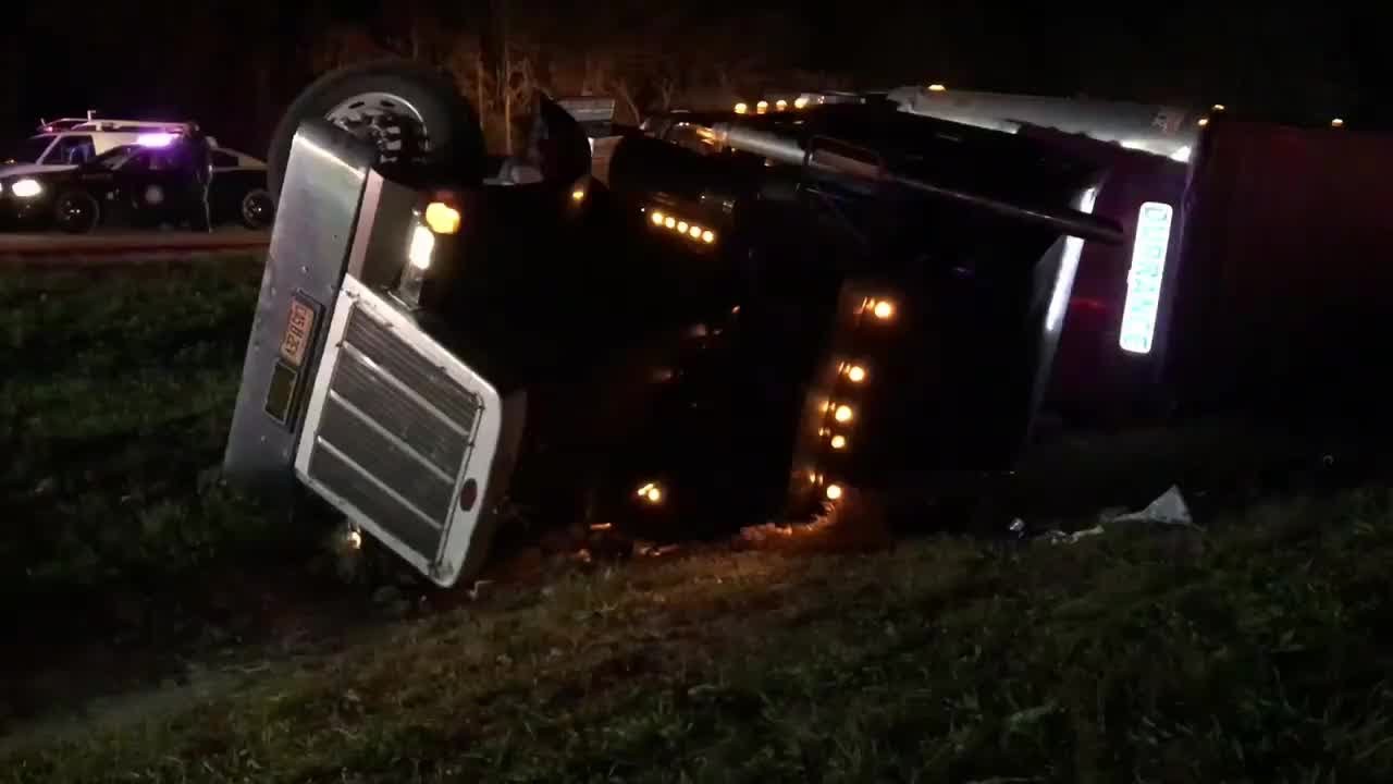 Cows on the loose shut down I-10