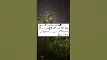 أكتب شيء تؤجر عليه 🌾 الشيخ اسلام صبحي - سورة الشورى