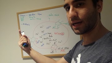 Ischemia-Reperfusion Injury (IRI) Mechanism (How does it work?)