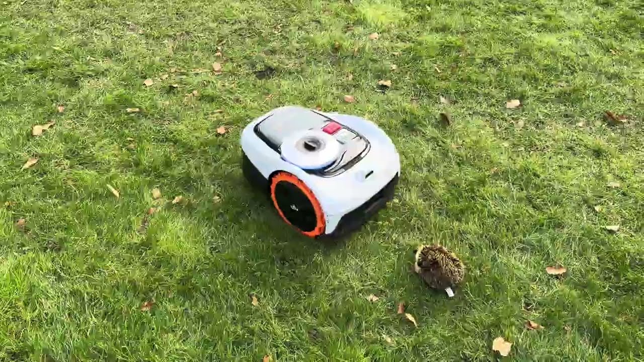 Segway Navimow X330E - Van Vijfeijken mechanisatie