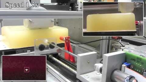 Moreira et al. - IROS 2015 - Surgical Robotics Lab