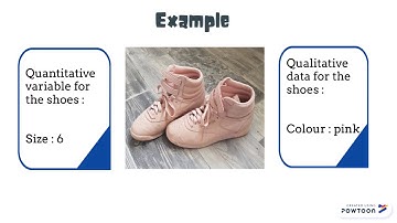 A182 SQQS1013 G3 VARIABLE: QUANTITATIVE VS. QUALITATIVE
