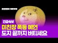 도지코인 폭등 나오니까 버티세요. 최종 목표가
